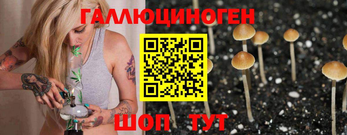 Псилоцибиновые грибы MAGIC MUSHROOMS  Вход с VPN  Горно-Алтайск  Галлюциногенные грибы Magic Shrooms 